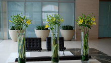 corporate_0428