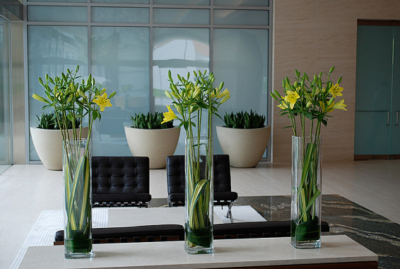 corporate_0428