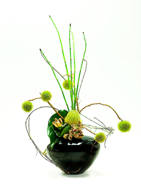 misc_036251