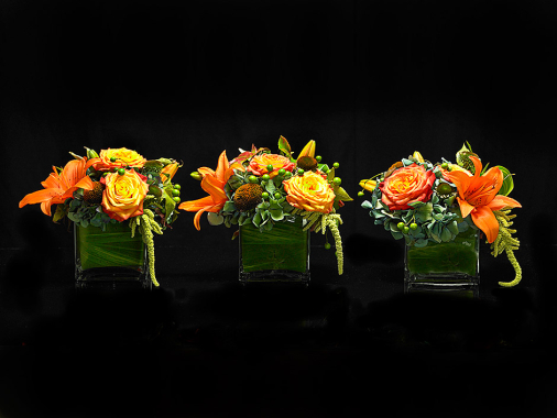 seasonal_CF040391