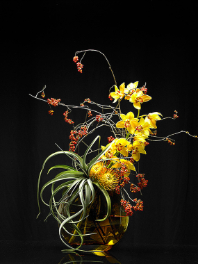 seasonal_CF040396